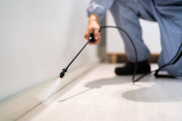 Licensed Exterminator service in Clearwater, FL - Show Me Pest Control