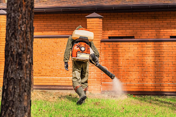 Bed Bug Clearance Verification and Documentation in Clearwater